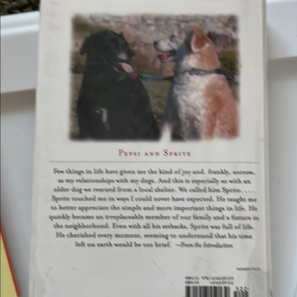 Dog and Animal Lover's Book Collection - Picture 8 of 9